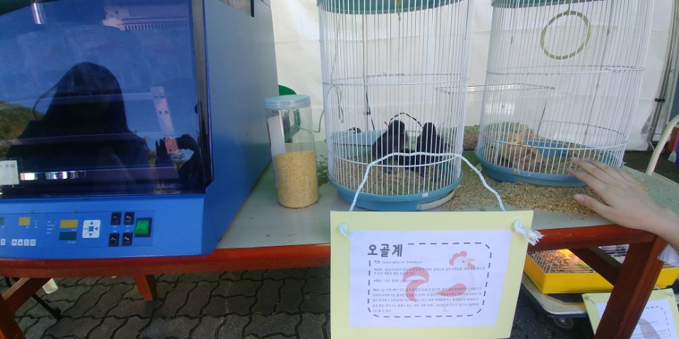 KakaoTalk_20171031_154017408.jpg 첨부 이미지