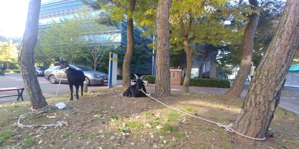 KakaoTalk_20171031_154032241.jpg 첨부 이미지