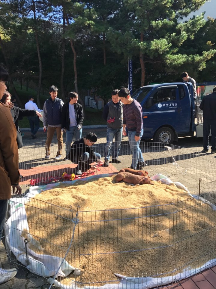 KakaoTalk_20180810_171906555.jpg 첨부 이미지